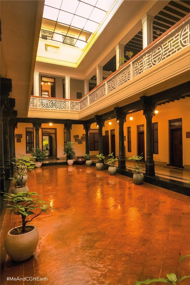 an indoor courtyard with potted plants on the floor