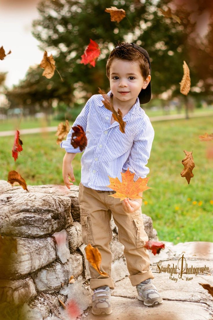 a little boy standing on top of a stone wall with leaves flying around him and looking at the camera