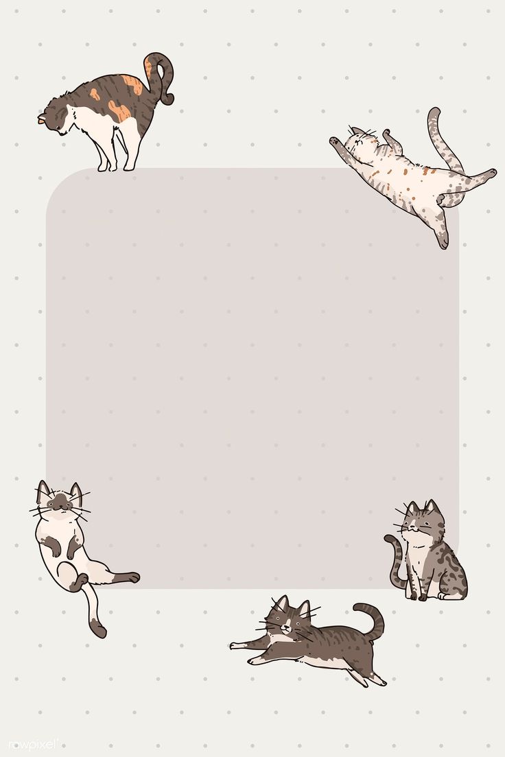 an image of cats and dogs in the air with a blank space for your text