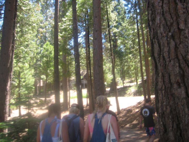 three people walking in the woods with backpacks