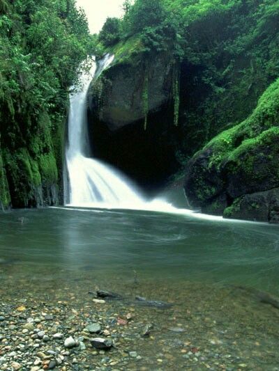 there is a large waterfall in the woods