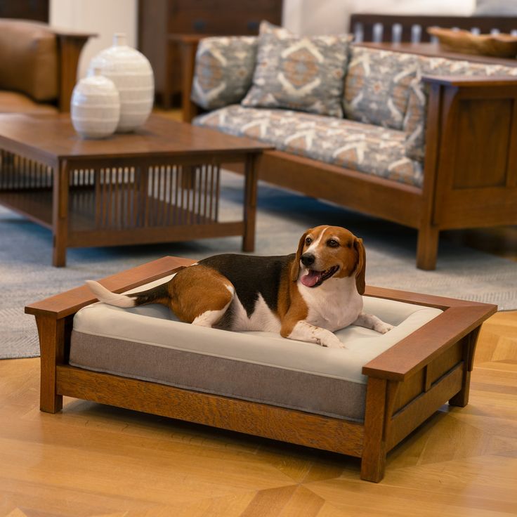 a dog is laying on his bed in the living room