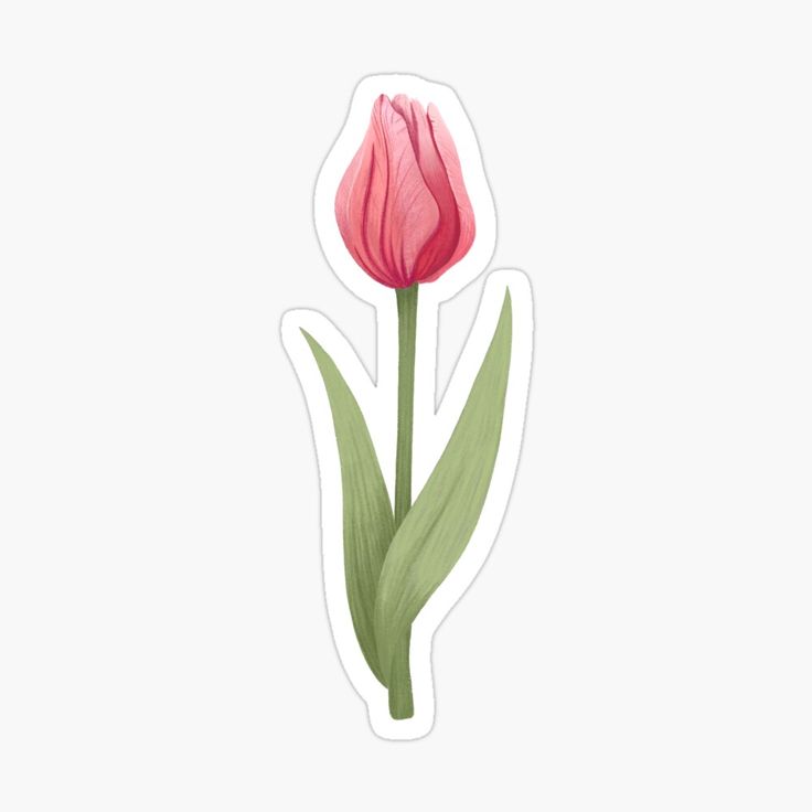 a pink tulip sticker with green leaves on the bottom and one flower in the middle