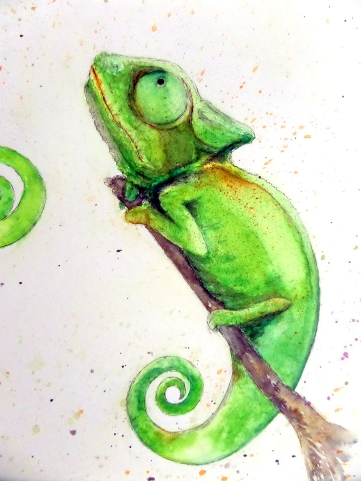 a drawing of a green chamelon sitting on a branch