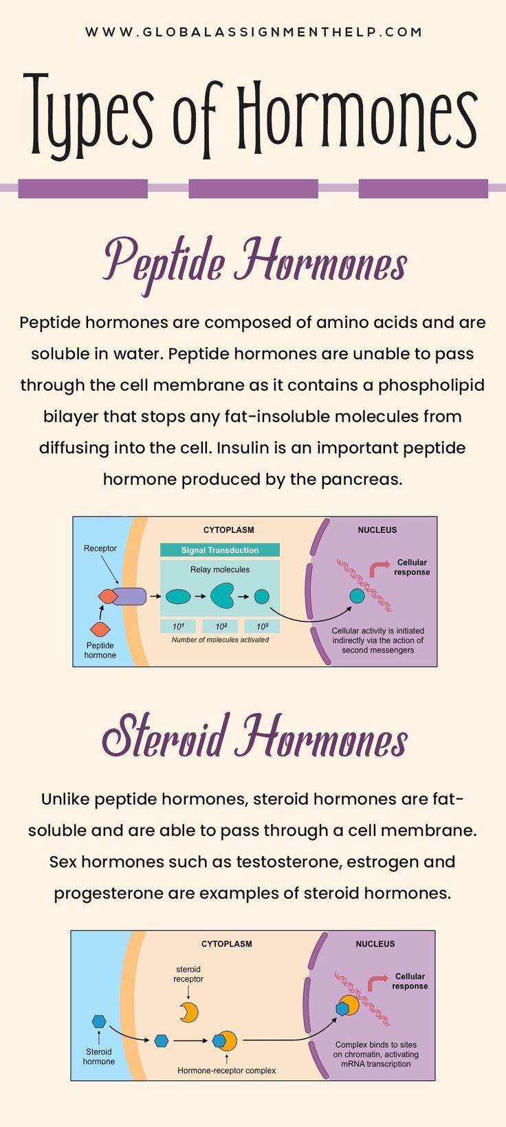 types of hormones How To Study Biochemistry, Biochemistry Notes Vitamins, Types Of Hormones, Biochemistry Notes Carbohydrates, Proteins Biochemistry, Biology Assignment, Body Human, Biochemistry Notes, Medical Terminology Study