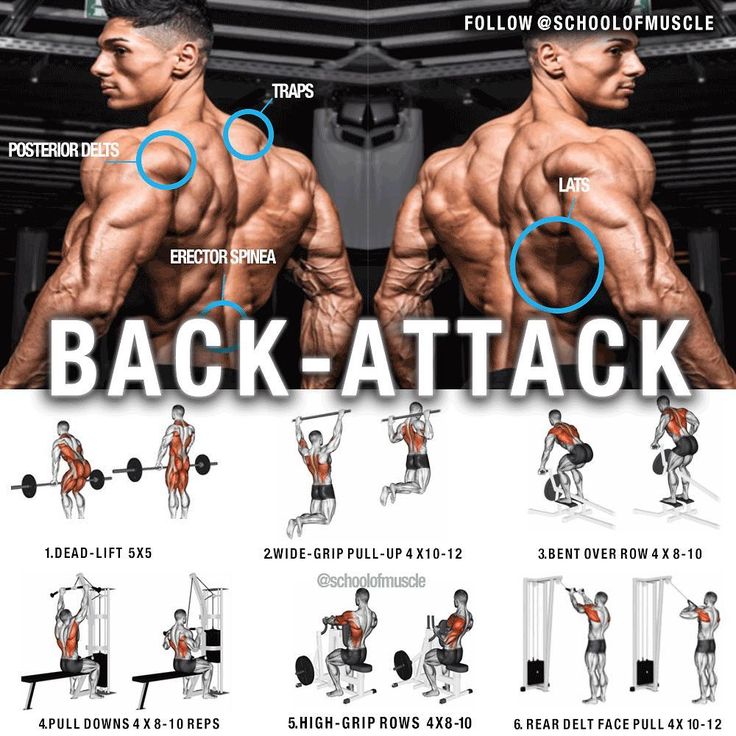 the back - attack workout plan is shown in this screenshoter's image