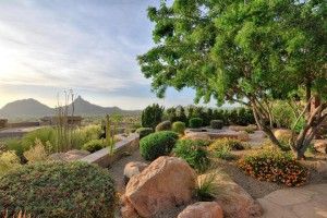 a desert landscape with rocks and trees