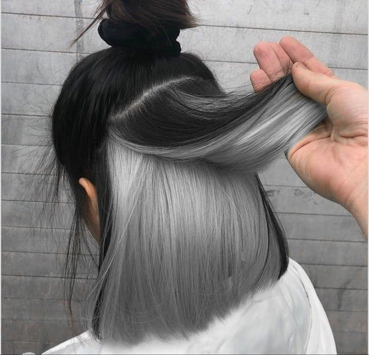 Hair Color Underneath Gray, Peek A Boo Hair Color Ash Grey, Black And Silver Hair Underneath, Gray Underdye Hair, Silver Underdye Hair, Black Hair With Gray Underneath, Silver Underneath Hair, Grey Underneath Hair, Inside Hair Dye