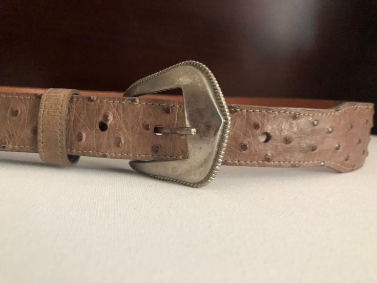 Very nice Ostrich skin belt, size 28.  This belt is a soft neutral grey color that will go with anything! It was made by the Nogales Belt Company in Nogales Arizona. It is in excellent condition. Ostrich Skin Belt, Nogales Arizona, Small Moths, Panama City Beach Fl, Wool Tie, Bisque Doll, Panama City Beach, Panama City, Suspender Belt