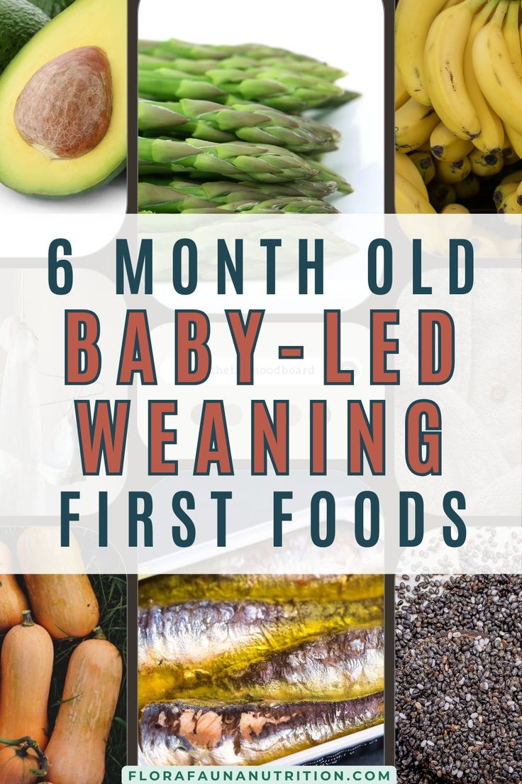 photos of the best first foods to feed your 6 month old for baby-led weaning including avocado, asparagus, banana, butternut squash, sardines and chia seeds. Best Foods For 6 Month Old, Infant Food Ideas Introducing Solids, When To Start Solids For Baby, When Do Babies Start Eating Baby Food, 7 Month Old Solid Food, When To Start Baby Led Weaning, Baby Starting Solids Schedule, Blw Recipes No Teeth, Baby Les Weaning First Foods 6 Months Meal Ideas