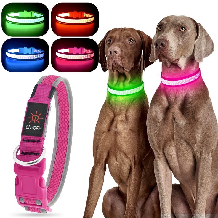 two dogs sitting next to each other with their collars glowing in different colors and designs