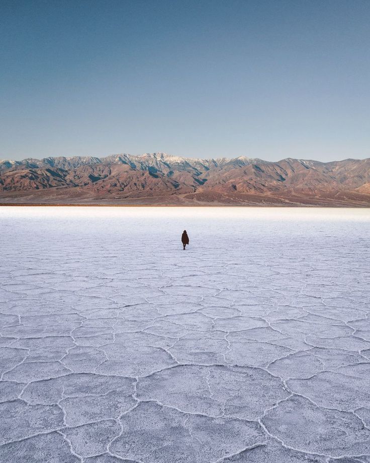 a lone tree stands in the middle of a vast expanse of flat, barren land