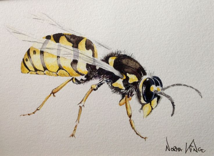 a drawing of a bee with yellow and black stripes