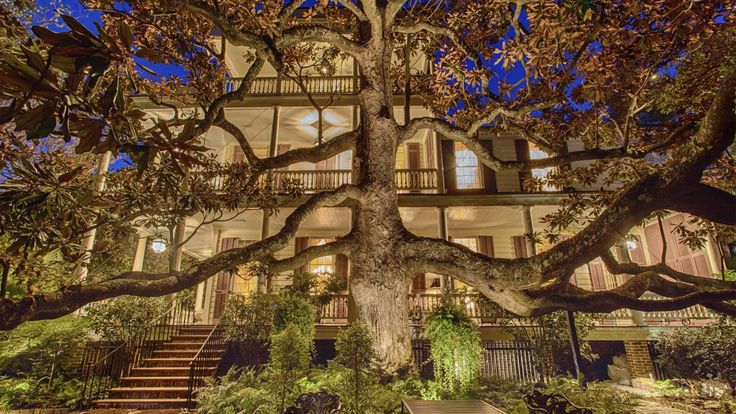 a large tree in front of a building with stairs leading up to the second floor