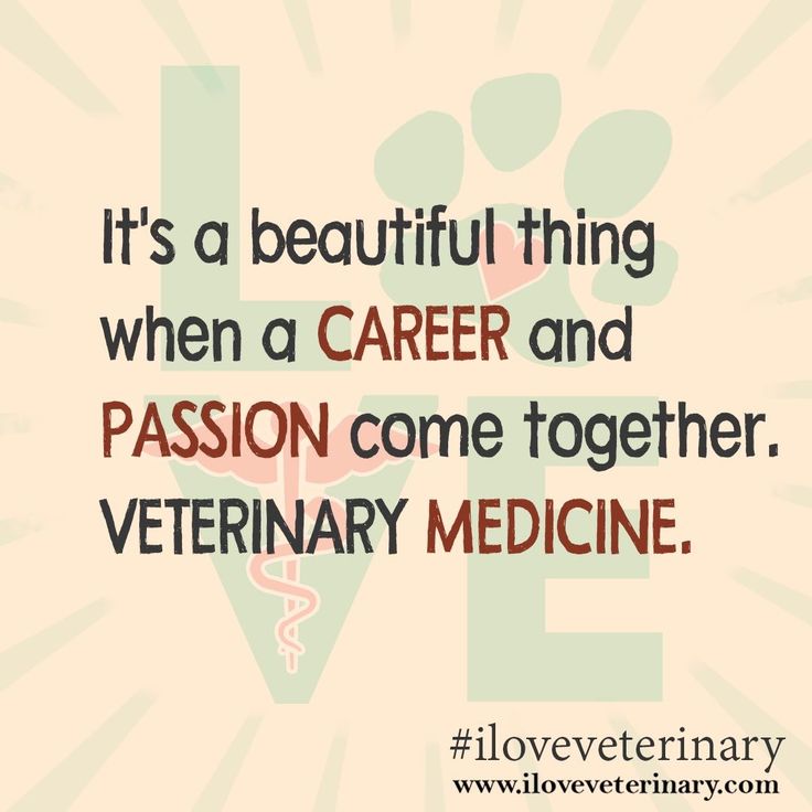 a quote that says it's a beautiful thing when a career and passion come together veterinary