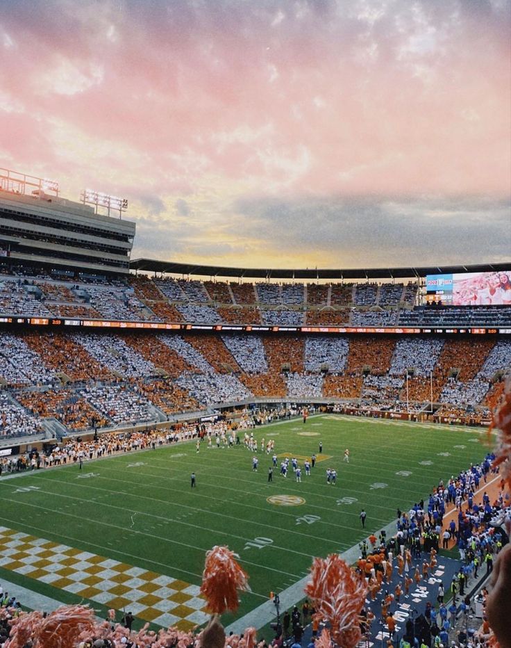 a football stadium filled with lots of people