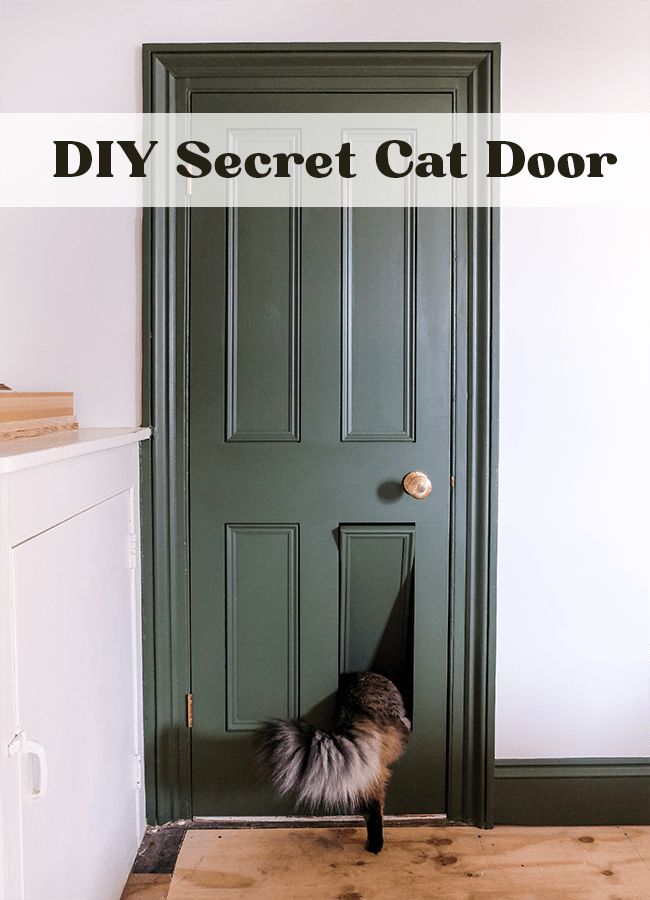 a cat peeking out from behind a door with the words diy secret cat door