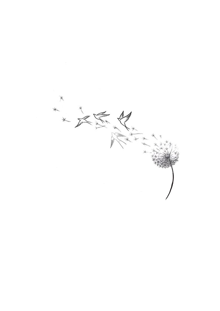 a dandelion blowing in the wind on a white background