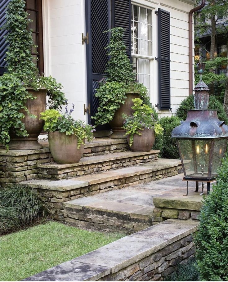 some plants are growing on the steps in front of a house