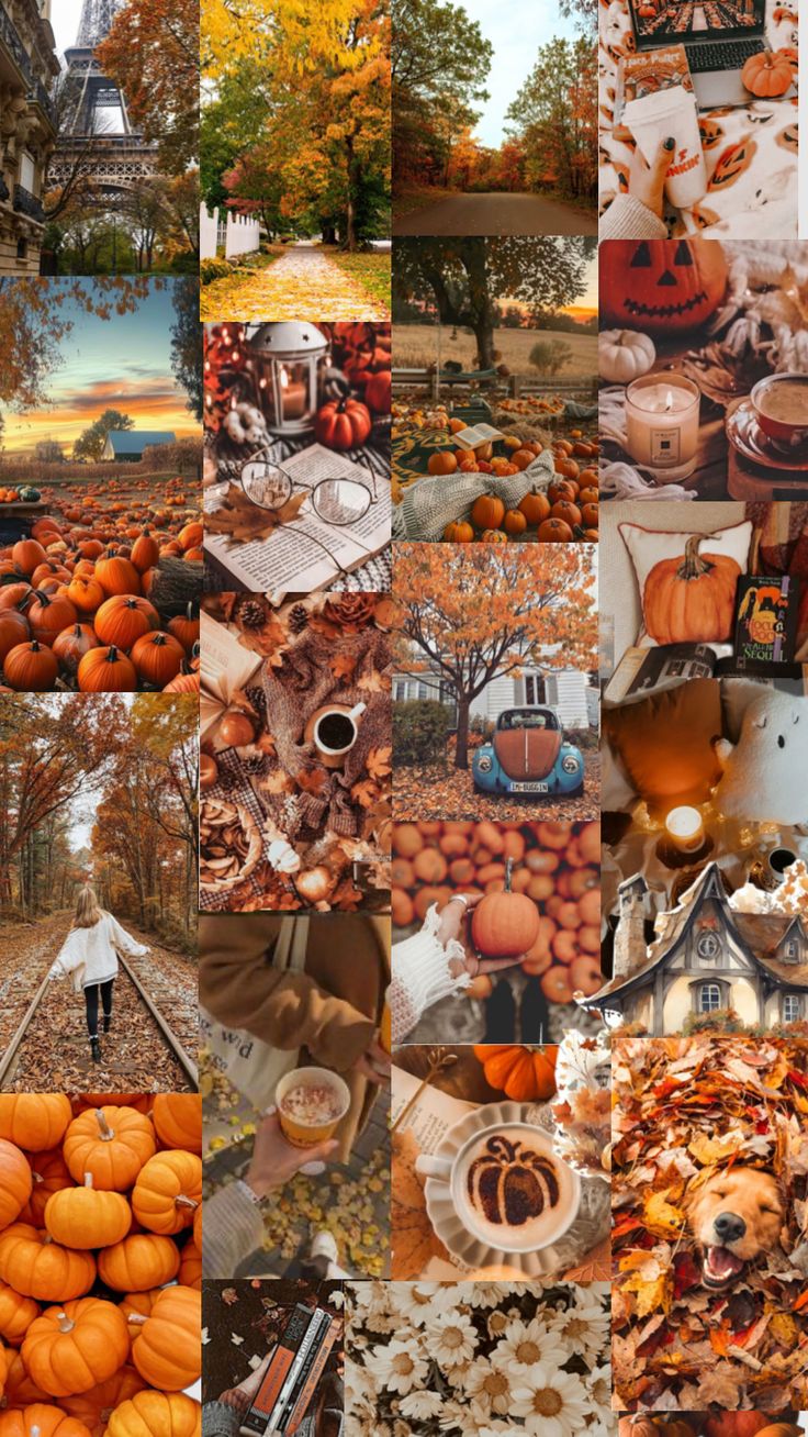 a collage of photos with pumpkins and other things