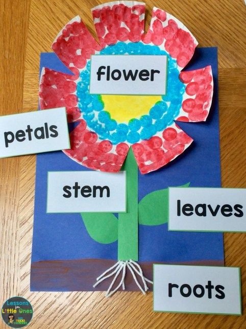 a flower made out of paper and cut into pieces with the words stems on it