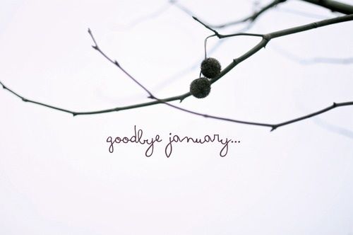 the words goodbye january are written in cursive writing on a bare tree branch