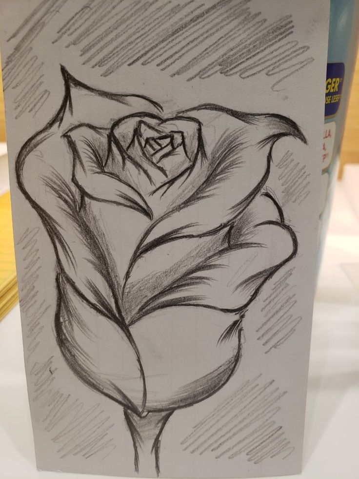 a drawing of a rose on a piece of paper