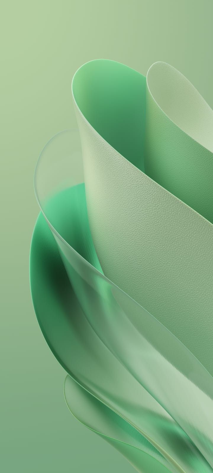 an abstract green background with wavy lines and curves on the bottom half of each plate