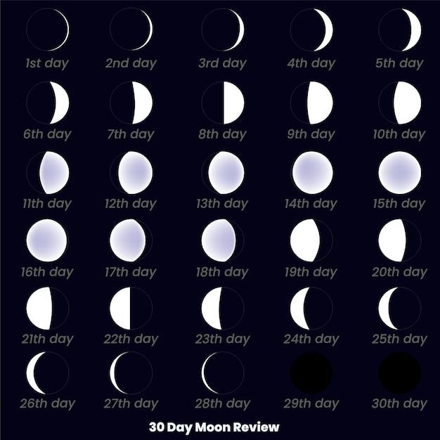 the phases of the moon for each day in different stages, from 1 to 30 days