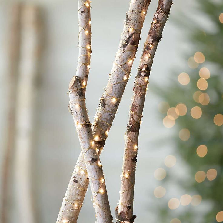 some branches with lights on them near a christmas tree