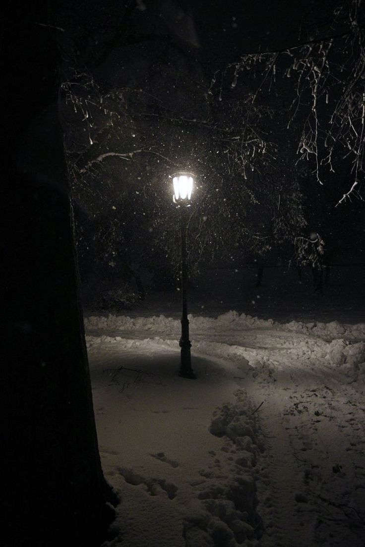 dark winter snow aesthetic. Dark christmas. Snow storm snow in city lamp post Snow Aesthetic Dark, Winter Snow Aesthetic, Park At Night, Snow Aesthetic, Snow Forest, Dark Christmas, Night Scenery, Deep Winter, Winter Wallpaper