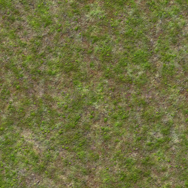 Wild Grass Free Texture Greenery Texture, Land Texture, Grass Texture Seamless, Photoshop Textures Backgrounds, Steampunk Machine, Dirt Texture, Sandstone Texture, Ground Texture, Earth Texture