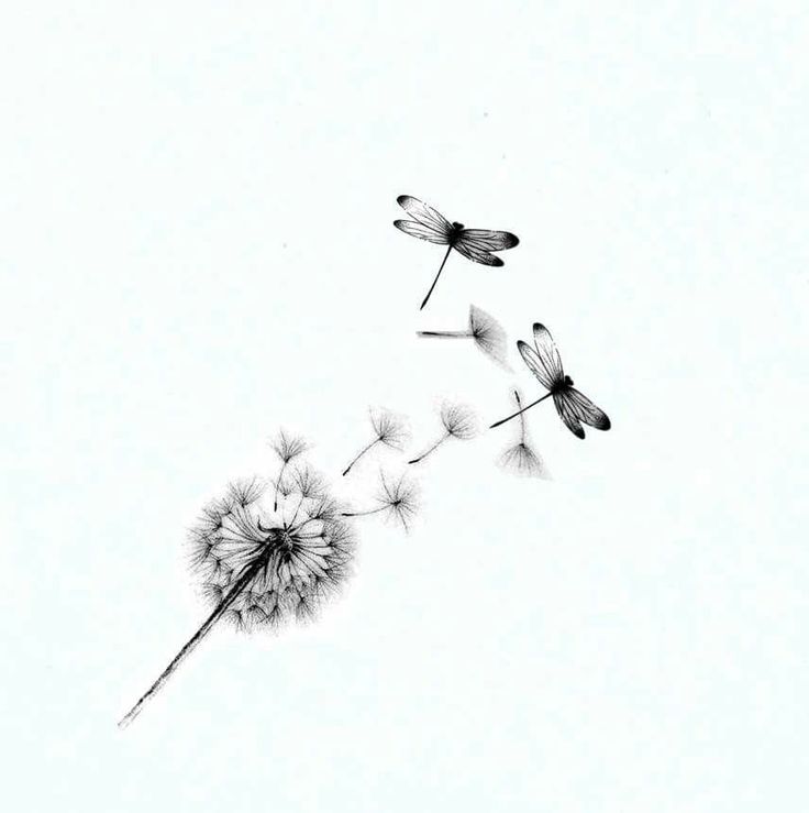 the dandelion is blowing in the wind with two dragonflies on it's back