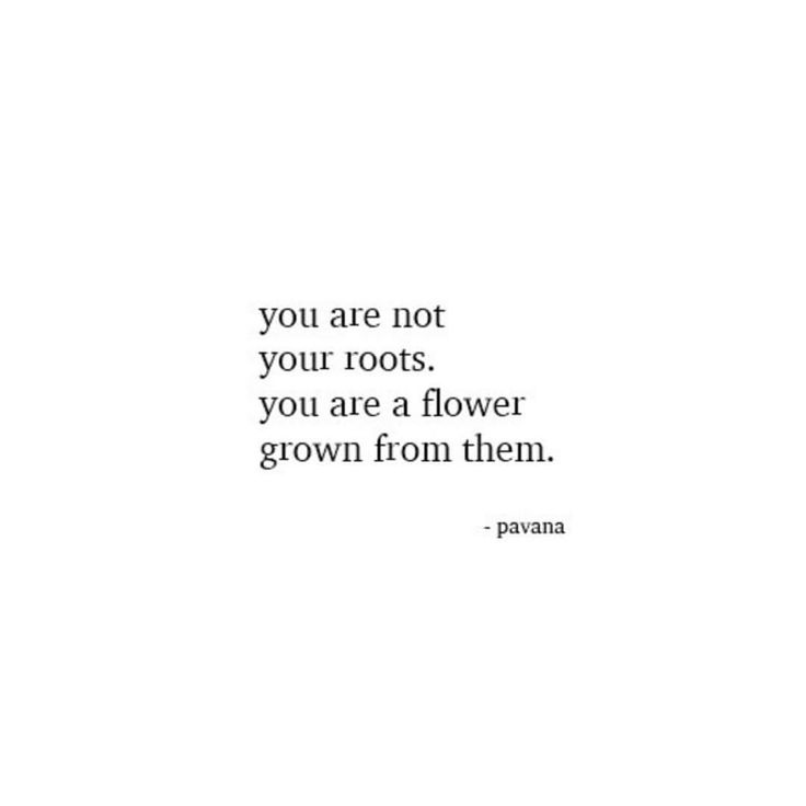 the words you are not your roots, you are a flower grown from them on a white background