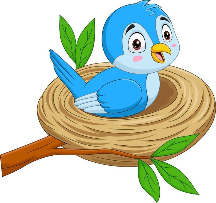 a blue bird sitting on top of a nest