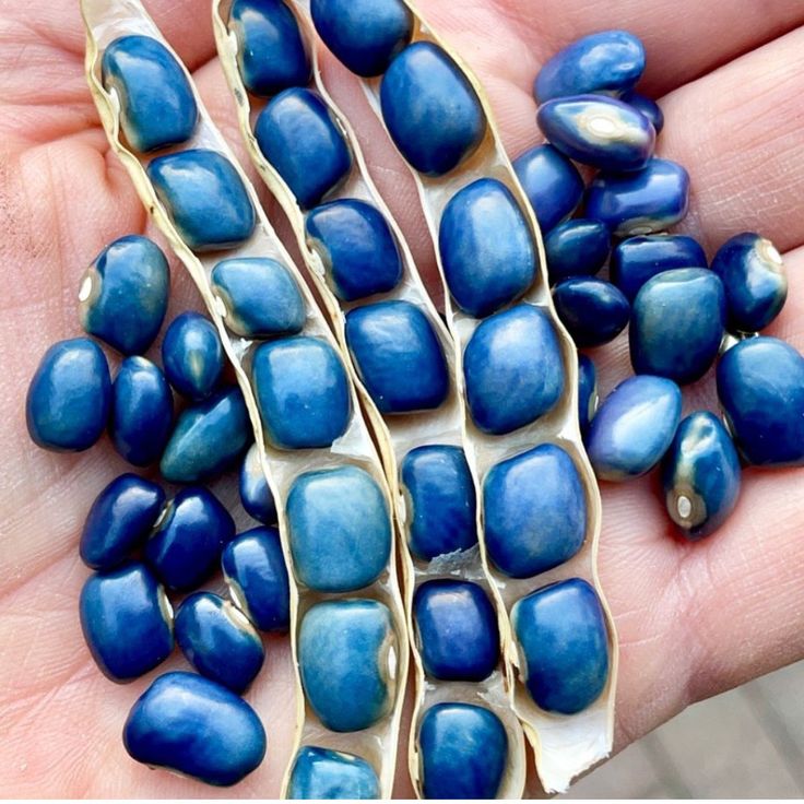 a person is holding some kind of blue bead in their hand, and it looks like they are made out of shells