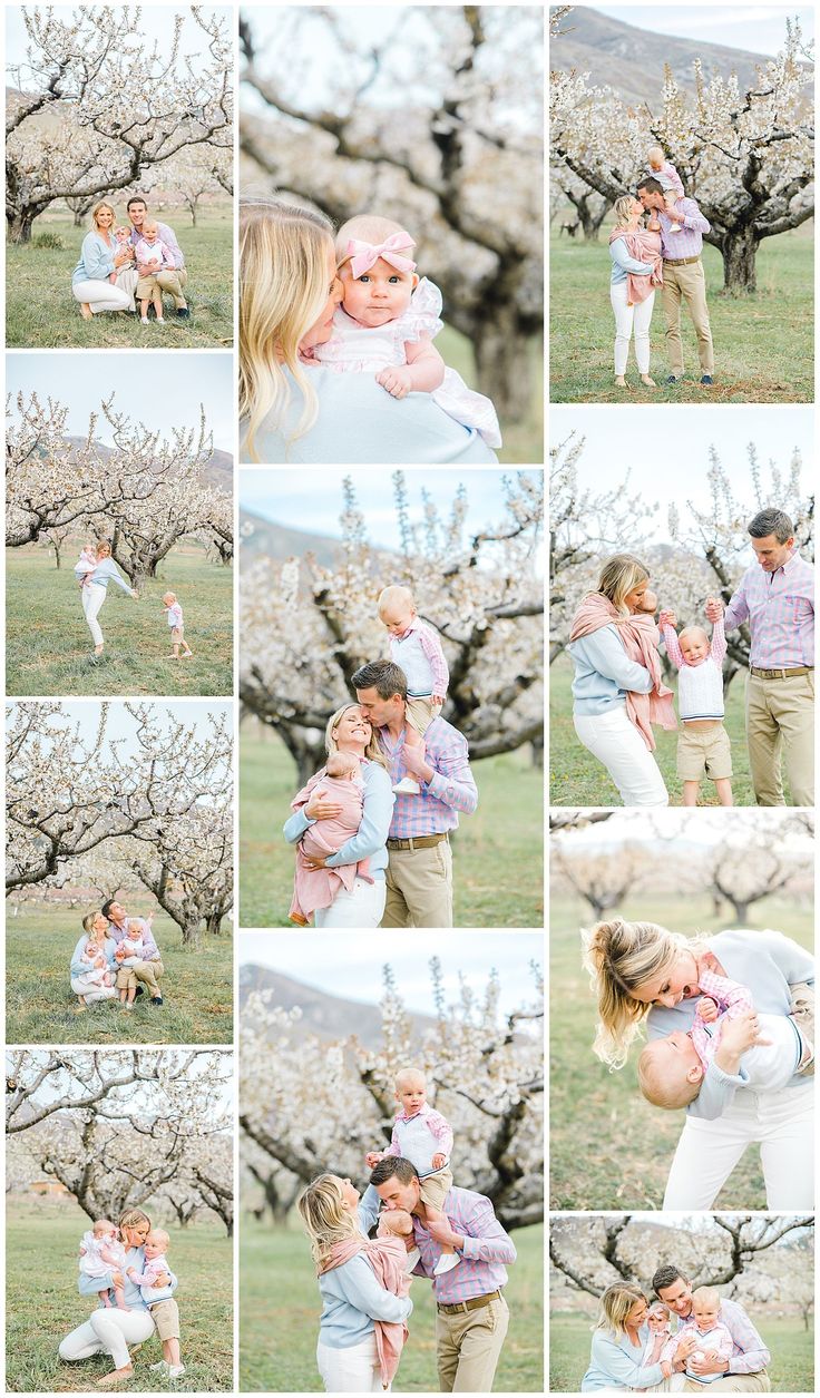 Spring Bloom Family Pictures, Easter Family Photoshoot Ideas, Photoshoot With Cherry Blossoms, Cherry Blossoms Family Photoshoot, Spring Blossom Photography, Cherry Blossom Photo Ideas, Family Photo Spring, Easter Photoshoot Family, Cherry Blossom Baby Photoshoot