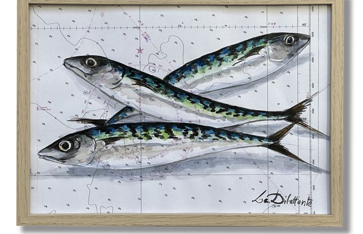 three fish are shown in a wooden frame