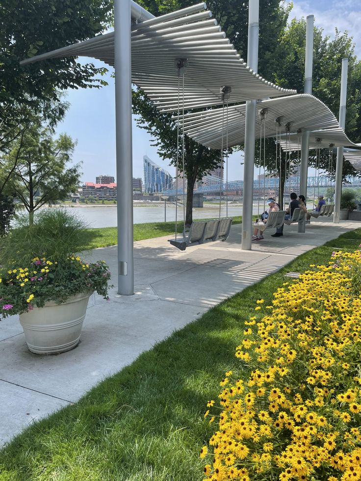 some people are sitting on swings in the grass near flowers and trees with yellow daisies