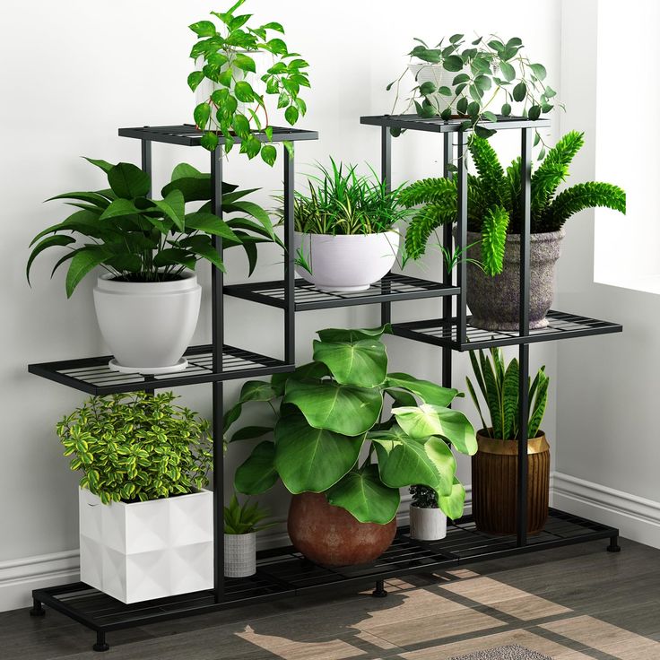 there are many potted plants on the shelf