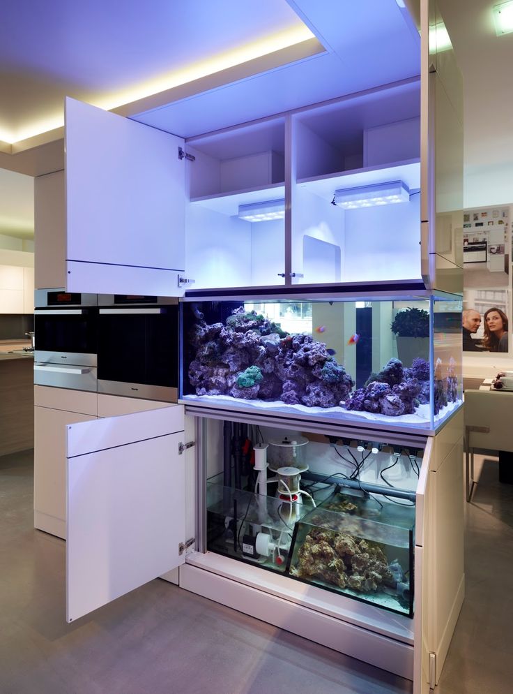 a fish tank is in the middle of a kitchen with white cabinets and counter tops