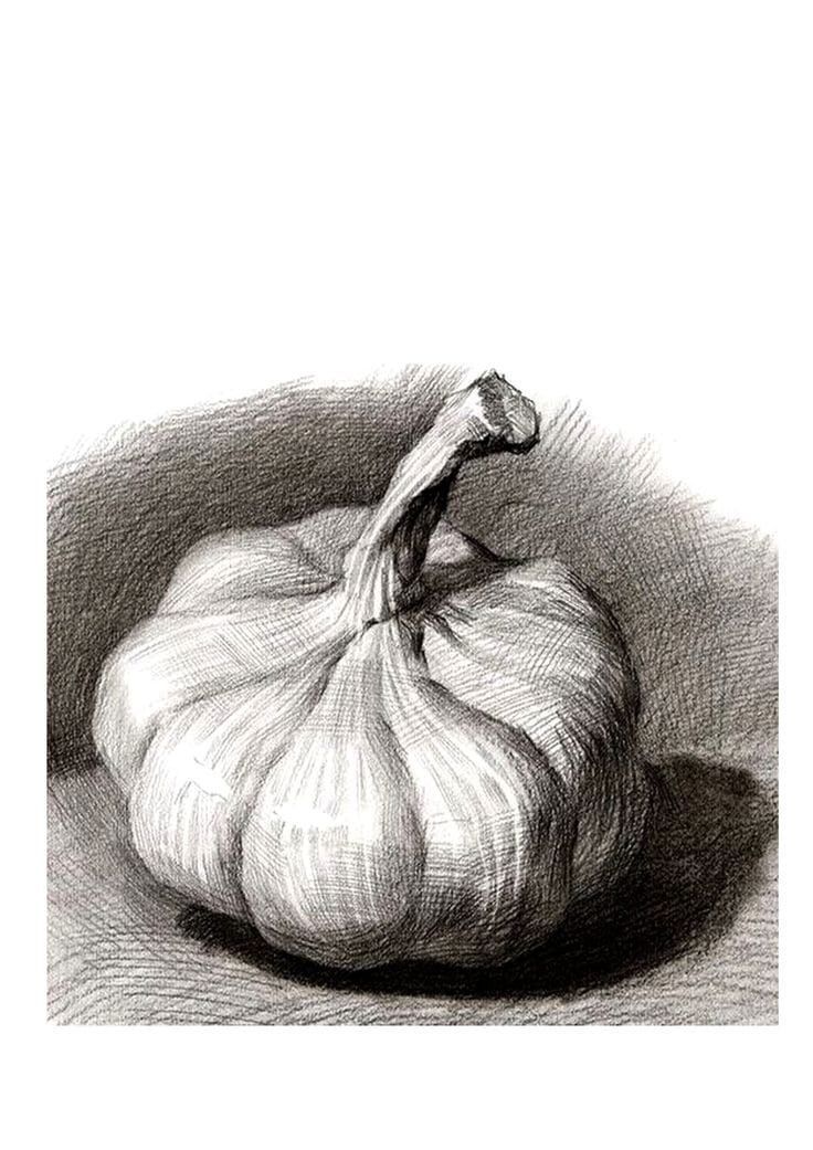 a black and white drawing of an onion