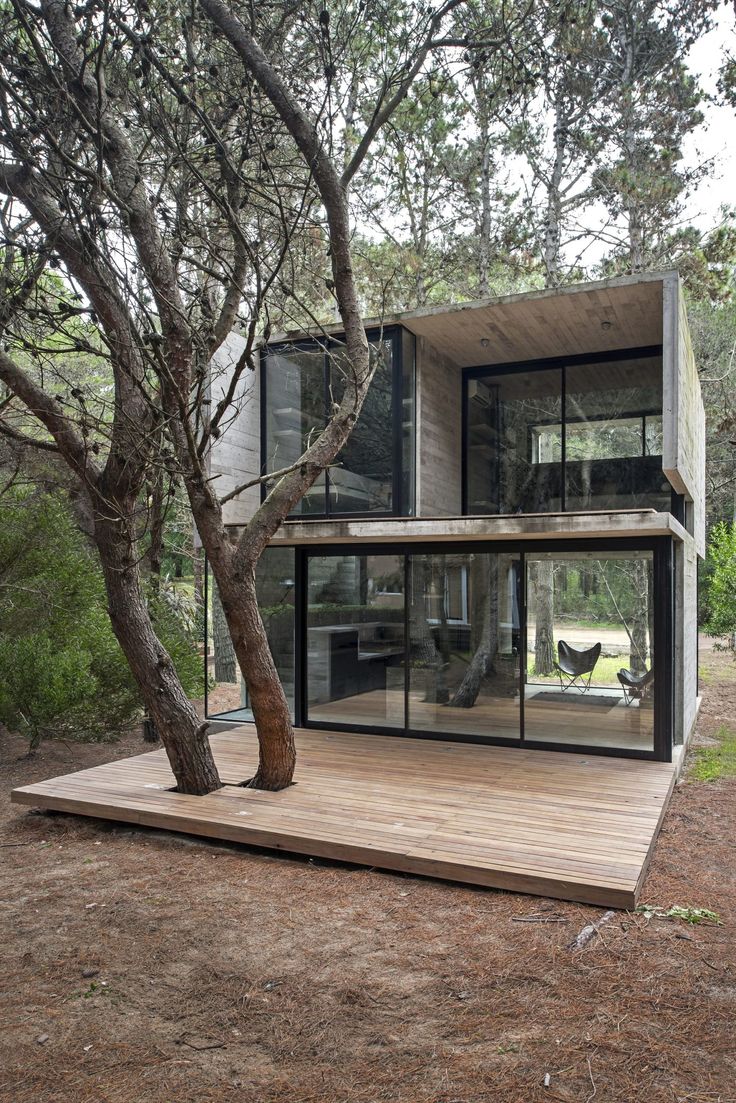 a house built into the side of a tree