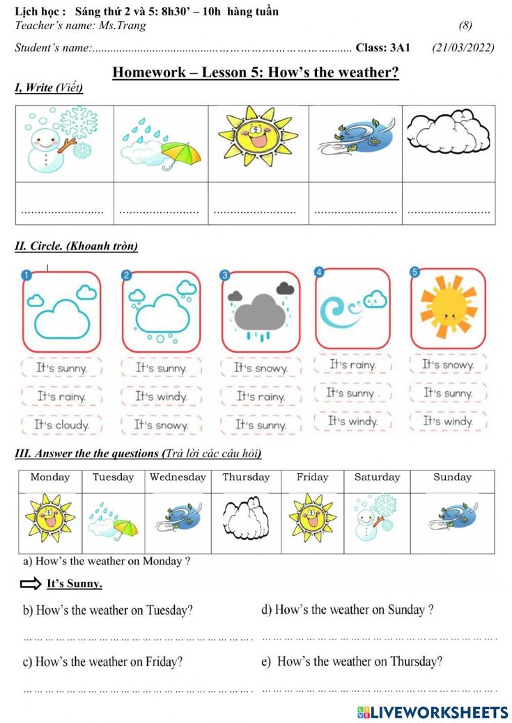 the weather worksheet for kids