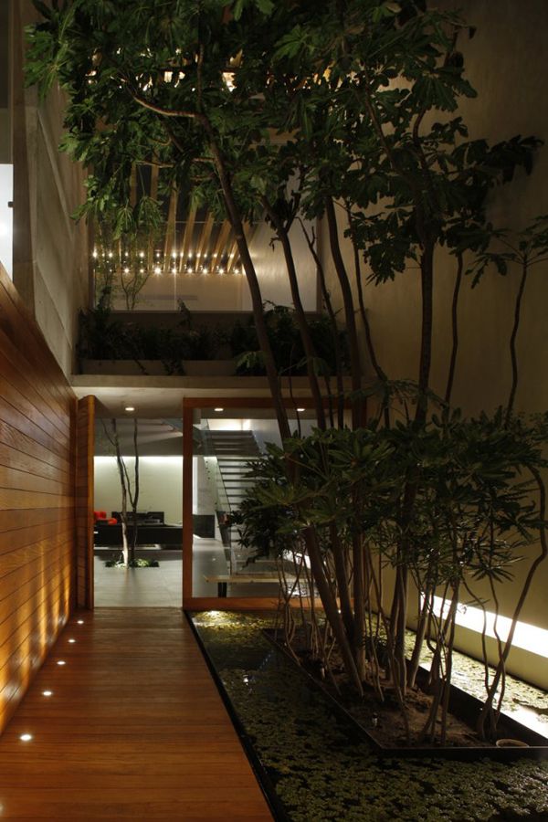 the inside of a modern house with wood flooring and plants on either side of the walkway