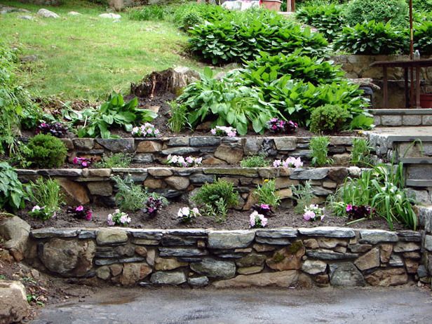 an outdoor garden with stone steps and flowers