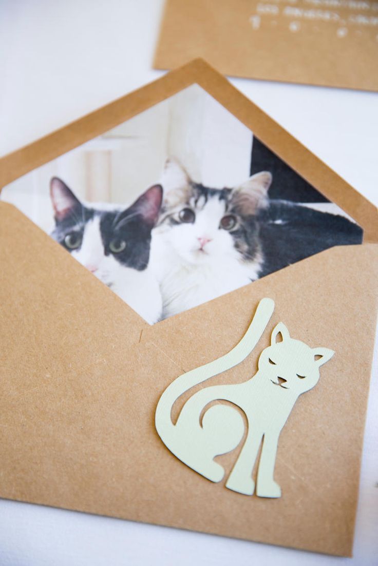 an open envelope with two cats and a cat sticker on the inside, sitting next to each other