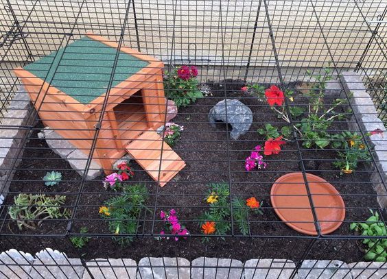 a bird cage with flowers and rocks in it