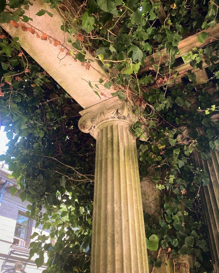 an old column covered in vines and ivy