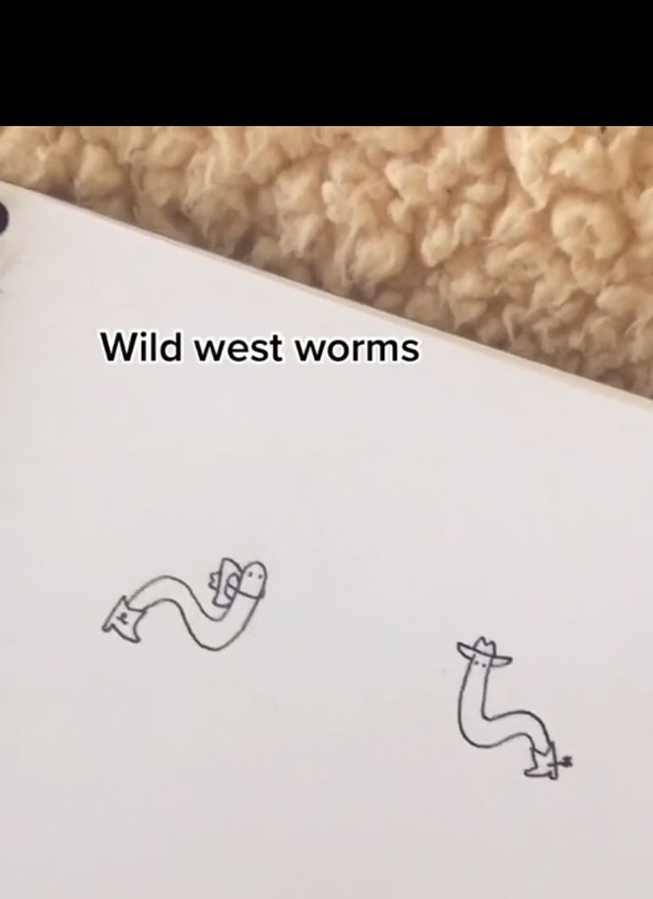 an open notebook with drawings on it and the words wild west worms written in black ink